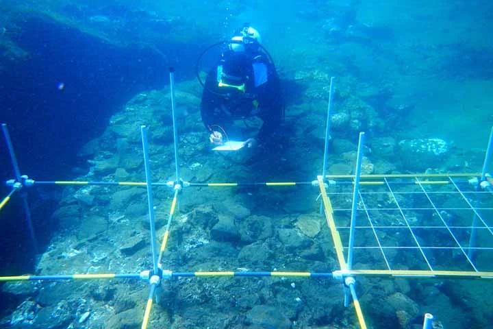 Assim, próximo ao local onde o navio naufragou, encontraram, em 2020, um equipamento naval dos romanos e balas de chumbo. Isso, de certa forma, sugere que o assentamento pode ter sido também uma base militar no Golfo de Nápoles. 