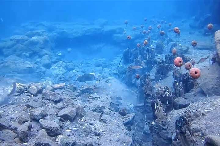 Achamos milhares de mosaicos de azulejo, além de telhados, pentes de madeira, agulhas para conserto de redes de pesca, gesso decorado. Estes objetos não são apenas relacionados ao navio ou comércio. Eles sugerem uma área residencial, disse Benini à rede britânica.