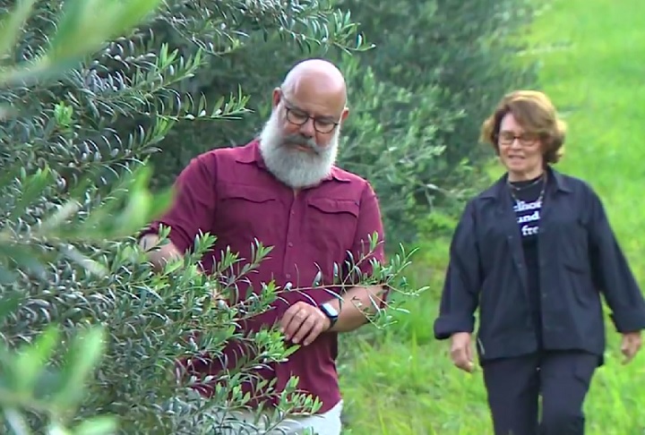 Em 2014, eles plantaram o primeiro pomar e começaram nessa época a produzir o azeite.