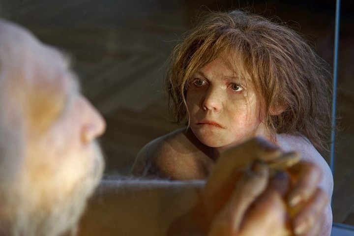 Os neandertais foram uma espécie humana que viveu na Europa e Ásia entre 400 mil e 40 mil anos atrás, coexistindo por um tempo com os Homo sapiens. 