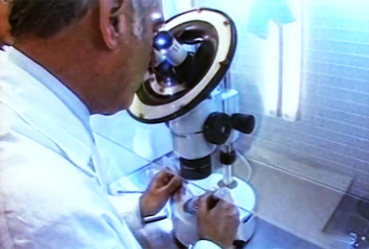 Mesmo com o insucesso, o experimento marcou a primeira clonagem de uma espécie extinta, abrindo caminho para pesquisas em conservação genética, como projetos recentes com o lobo terrível.