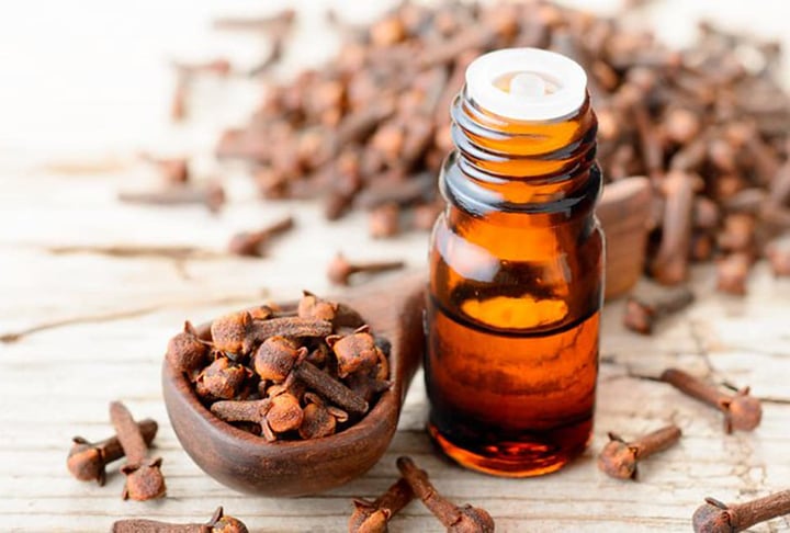 Cravo-da-índia- Comum em doces e chás, combina com bolos e tortas. Nativa das Ilhas Molucas e da Nova Guiné. Pode ser utilizada em pratos salgados. Usada como óleo, possui propriedades digestivas e é afrodisíaca.