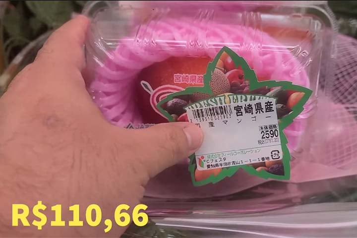 O alto valor pode assustar, porém se justifica por como a cultura japonesa enxerga as frutas, a agricultura e o cultivo no país. Uma manga equivale a R$ 110,66.