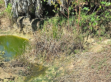 Crânios humanos foram encontrados em área de mata no bairro Cágado, em Pacatuba 
