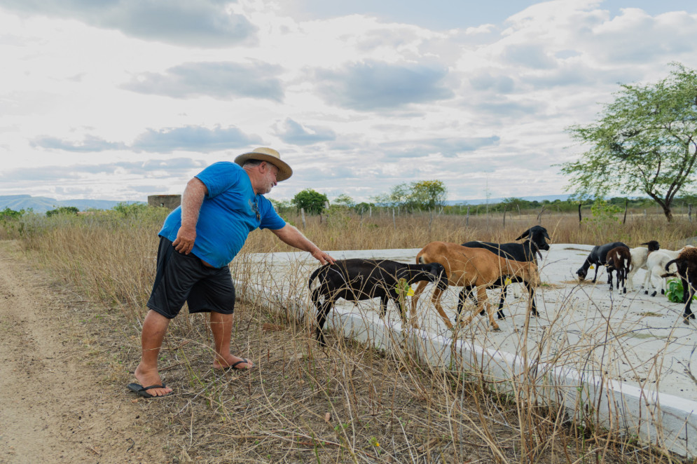Homem idoso de chapéu, camisa azul e bermuda preta toca uma ovelha preta em um terreno seco, ao lado de um grupo de ovelhas que se alimenta em um reservatório vazio. Ao fundo, vegetação rasteira e céu nublado