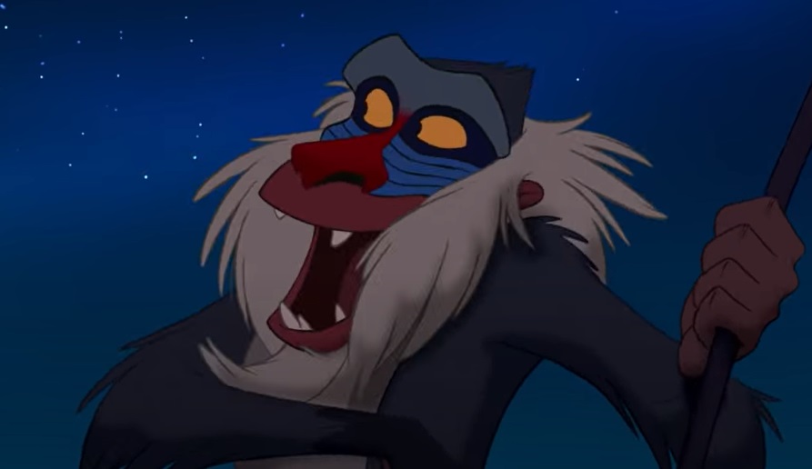 Personagem: Rafiki - Filme: O Rei Leão - Extremamente sábio, Rafiki é fundamental para a história de Rei Leão, que , para muitos, é o filme da Disney de maior complexidade e destaque de todos os tempos. Ele era um grande amigo de Mufasa, pai de Simba. 