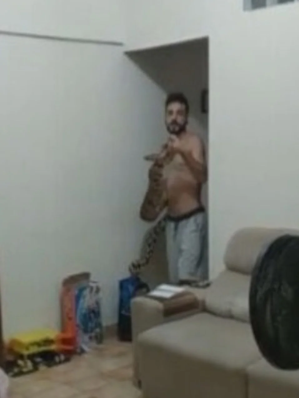 Em outubro de 2022, uma jiboia apareceu num apartamento em Santa Teresa, na Região Central do Rio de Janeiro. 