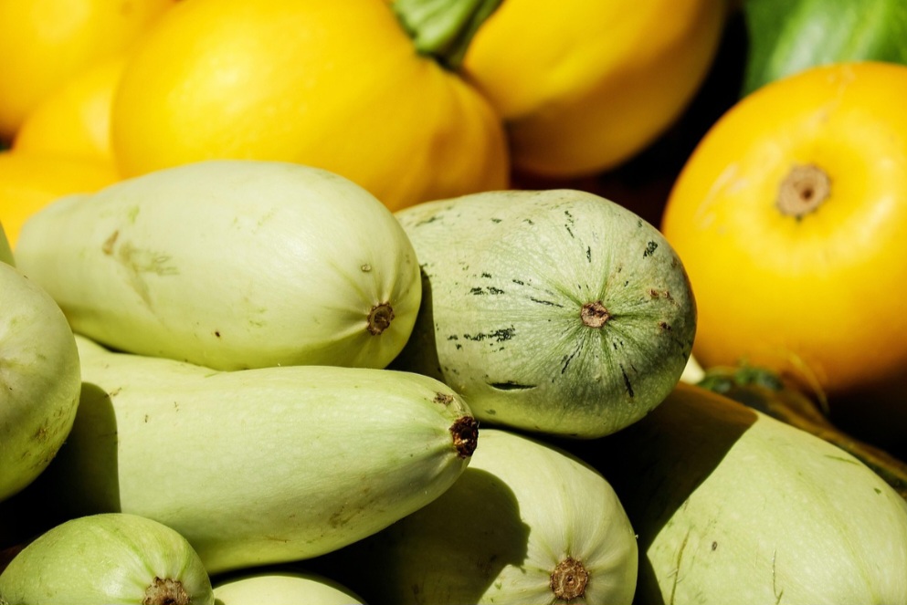 Com raízes no continente americano, desde o Peru até o sul dos EUA, a abobrinha, como a conhecemos hoje, apareceu na Itália, na segunda metade do século XIX. No entanto, ela foi reintroduzida nos Estados Unidos por imigrantes italianos na década de 1920. 