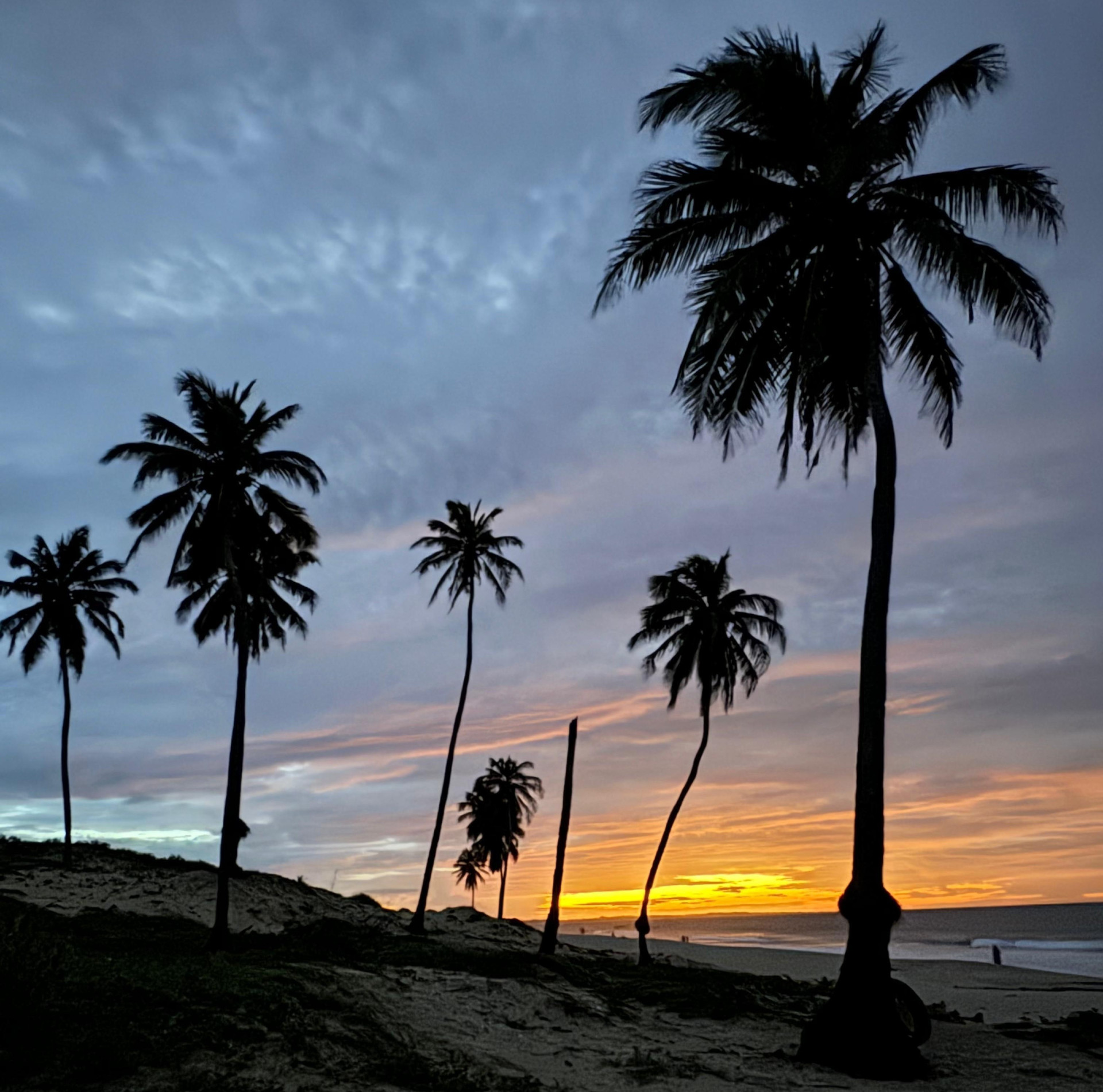 Em toda a extens&atilde;o da Praia das Almas est&aacute; concentrada uma grande quantidade de dunas fixas e m&oacute;veis