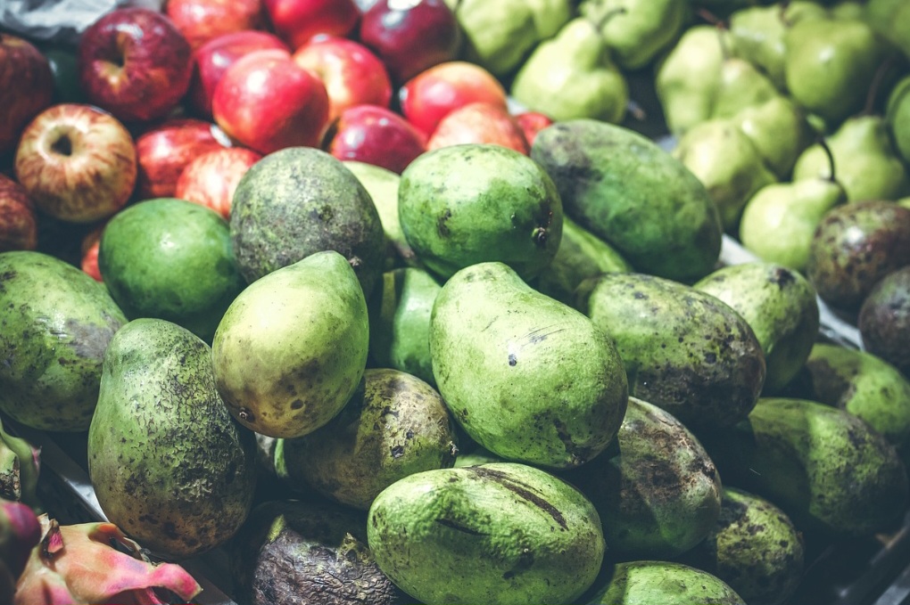 A manga é uma fruta muito apreciada no Brasil, sendo consumida em diversas formas, como fresca, sucos, doces, compotas e sorvetes. 