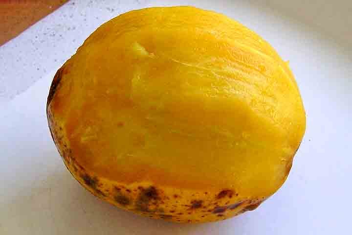 No Brasil, além de cajá-manga, a fruta também é conhecida por outros nomes, como cajarana, taperebá-do-sertão, e até mesmo simplesmente cajá em algumas regiões.