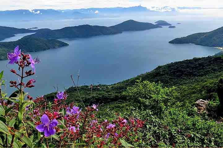 É nesse ambiente que se encontram praias como a do Sono, de acesso apenas por trilha ou barco, e Trindade. O Saco do Mamanguá, em destaque, é considerado o único fiorde tropical do país, atraindo amantes da natureza e da fotografia por seu visual cênico.