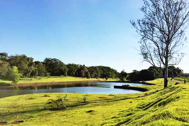 Ao final, Londrina é uma cidade que surpreende. Seja pela organização urbana, pela vida cultural intensa ou pela diversidade de suas paisagens, ela tem um jeito único de encantar.