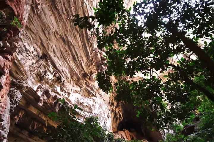 Situado na interface entre os biomas Cerrado, Caatinga e Mata Atlântica, o  Parque Nacional Cavernas do Peruaçu abriga mais de 2.000 espécies de plantas e animais, muitas delas ameaçadas de extinção.

