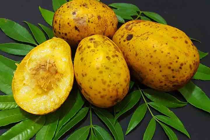 O cajá-manga, conhecido cientificamente como Spondias dulcis, tem origem nas Ilhas da Sociedade, um arquipélago na Polinésia Francesa, no Oceano Pacífico.