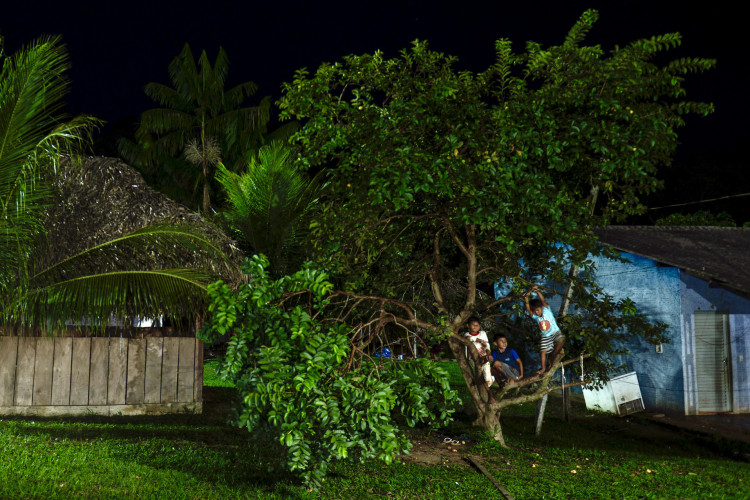 Crianças indígenas Asurini brincam em cima de uma árvore na aldeia Itaaka, na Terra Indígena Koatinemo, Pará 