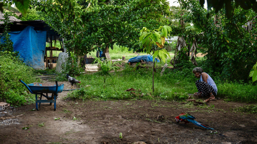 Perto de Ituna/Itata, no norte do estado do Pará, comunidades indígenas e ativistas exigem que o governo conceda o status de terra protegida permanente, após anos de destruição da floresta causada por atividades de mineração ilegal