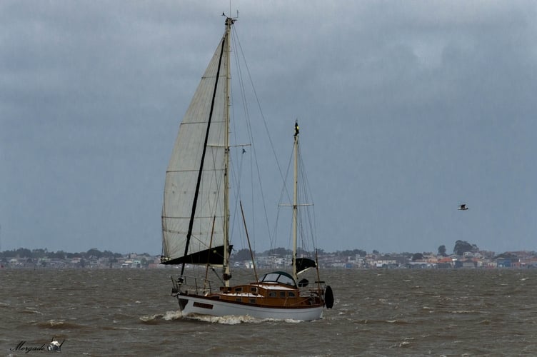 Suas águas, bem próximas ao Oceano Atlântico, abrigam atividades como pesca, navegação e turismo, além de servirem como refúgio para diversas espécies de aves migratórias.