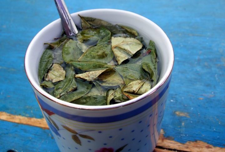 Também é indicado beber muita água, evitar ingerir álcool e consumir chá de coca para ajudar na adaptação.

