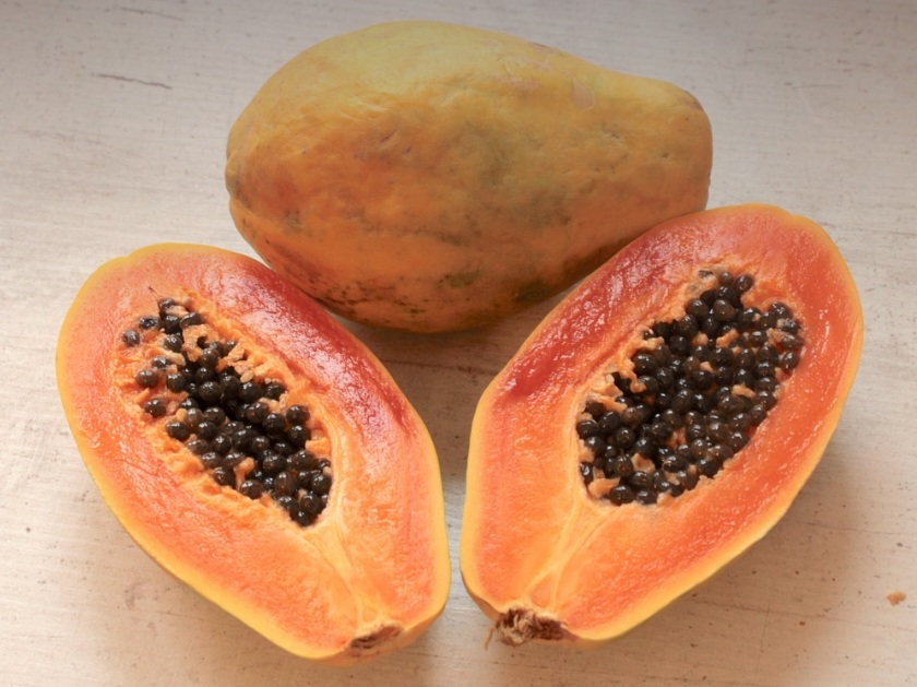 A presença de vitamina C em altas quantidades torna o mamão uma fruta importante para o fortalecimento do sistema imunológico. Essa vitamina participa ativamente da produção de glóbulos brancos e na resposta inflamatória do organismo.