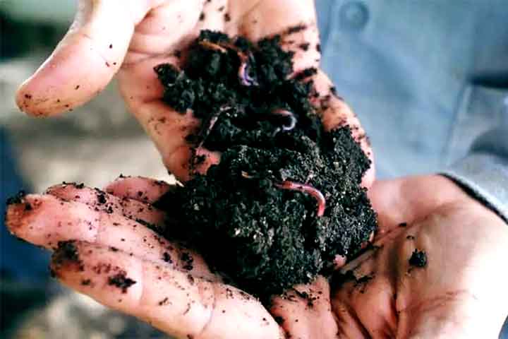 Outros macronutrientes importantes são o enxofre, o cálcio e o magnésio, que desempenham funções vitais no metabolismo e estrutura das plantas.