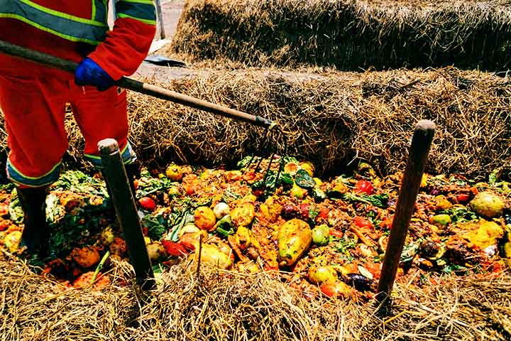 Os fertilizantes podem ser classificados de acordo com sua origem e composição. Os fertilizantes orgânicos, por exemplo, são obtidos a partir de materiais naturais, como esterco, resíduos vegetais e compostos orgânicos.