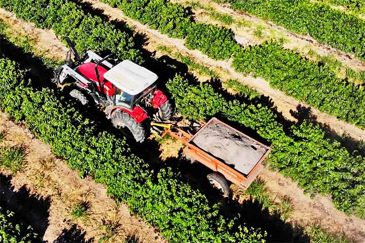 A fertilização é um pilar fundamental da agricultura moderna, possibilitando a produção de alimentos em larga escala e a manutenção da fertilidade do solo.