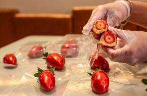 FORTALEZA-CE BRASil - 25.07.2025 - Fotos da venda de morango do amor com empresario João Redkan ((João Filho Tavares O Povo)