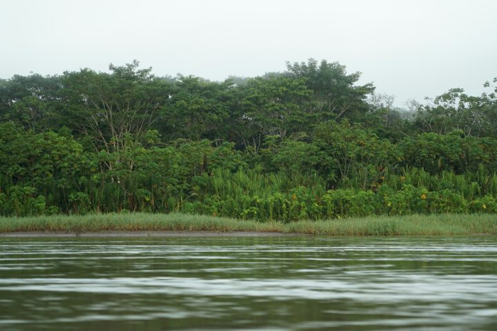 Uma das principais diferenças em relação ao Amazonas é a velocidade do fluxo: o Hamza se move de 10 a 100 metros por ano, enquanto o Amazonas flui a cerca de 5 metros por segundo.