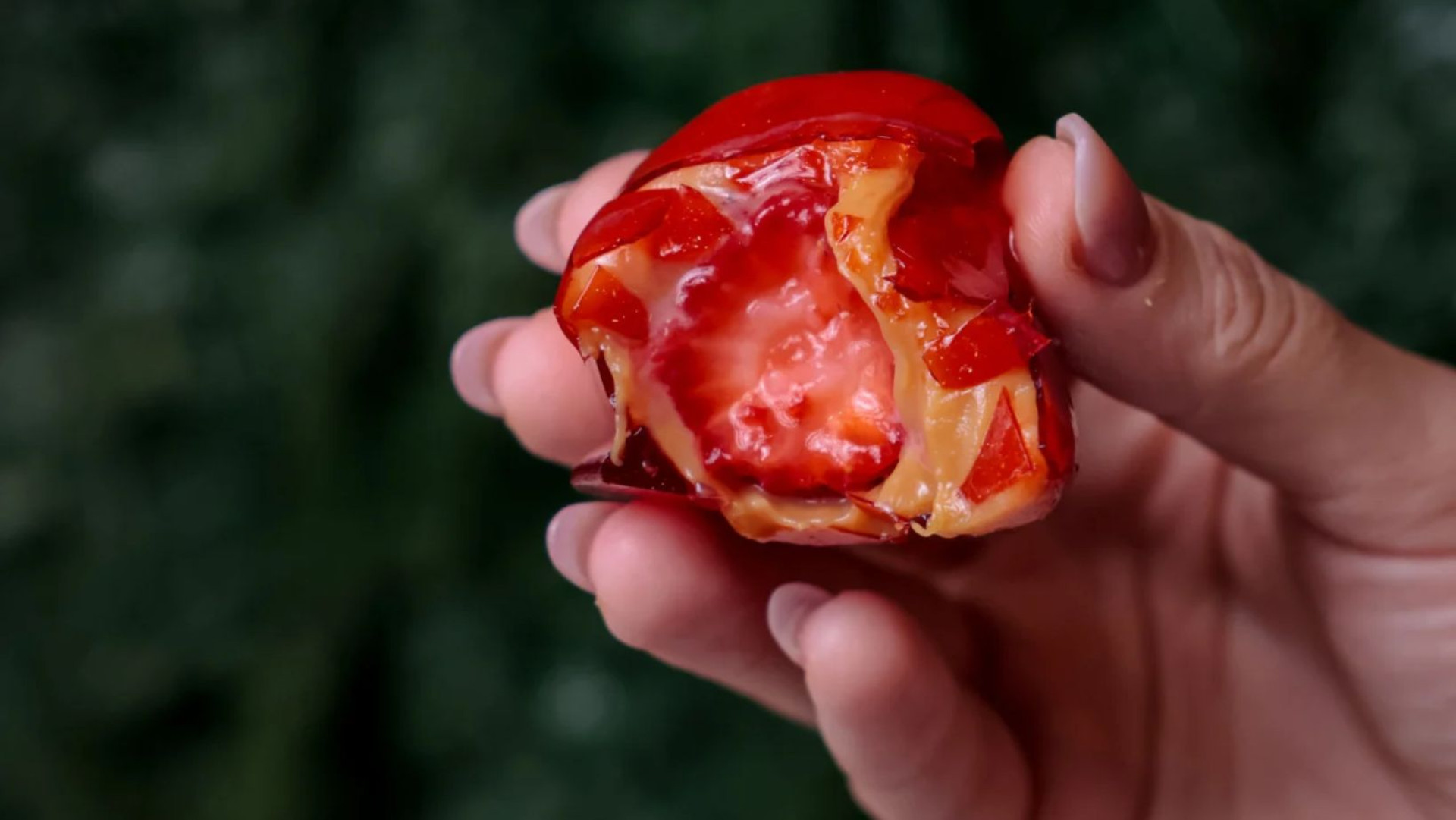 O 'morango do amor' é comercializado em confeitarias de Fortaleza (Foto: Aurelio Alves/O POVO)