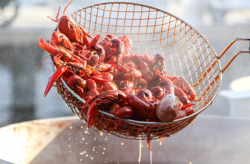 Algumas espécies de lagostas, como a americana, podem viver por mais de 100 anos na natureza. A sua capacidade de crescimento contínuo e reprodução durante toda a vida contribui para esta longevidade.