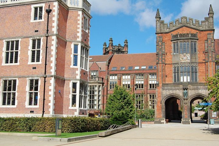 A operação contou com a colaboração entre veterinários do zoológico e dentistas da Universidade de Newcastle.