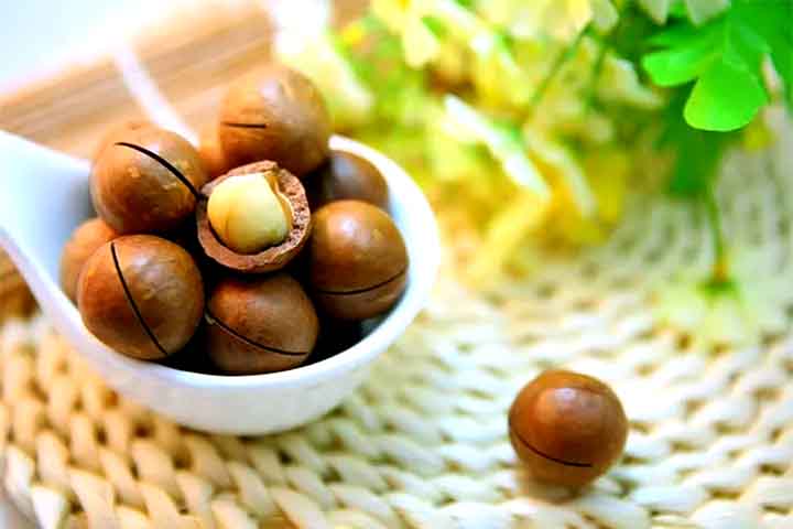 Além dos benefícios para a pele e os cabelos, a macadâmia também é um alimento altamente nutritivo e pode ser consumida de diversas formas. 