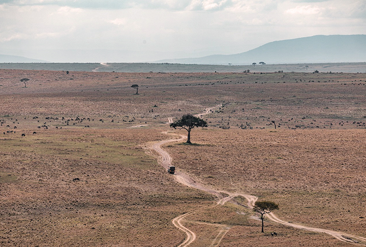 Ali fica o Grande Vale do Rift, onde, curiosamente, um fenômeno atrai a atenção: a África está se dividindo. Sobre isso, copie e cole para ver a galeria do FLIPAR: https://www.flipar.com.br/meio-ambiente/a-africa-esta-se-dividindo-entenda-a-separacao-do-continente/