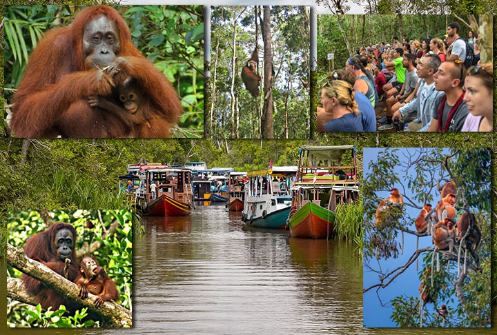 INDONÉSIA - Com 17 mil ilhas, o país tem uma diversidade natural que impressiona, com bosques, selvas, picos, recifes, tudo isso em povoados antigos que mantêm uma cultura milenar. E a Linha do Equador passa pelo país. 