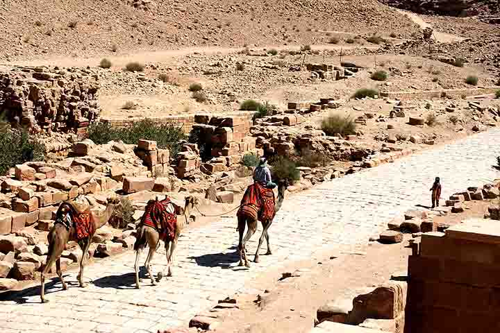É sentir o eco de um povo que dominou a arte de viver no deserto. Mais do que um destino turístico, Petra é um convite a viajar no tempo e se encantar com a engenhosidade humana diante dos desafios da natureza.