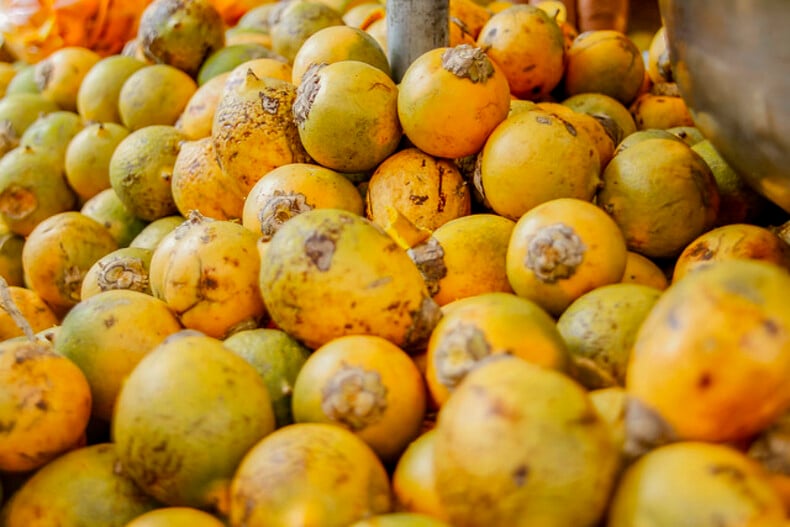 O tucumã é redondo, composto de polpa alaranjada ou amarela de massa fibrosa, compacta e firme. Acima da polpa está a casca, podendo ser amarelo-claro ou escuro. Abaixo da polpa está um caroço negro lenhoso que ao ser partido apresenta amêndoa de massa branca, oleaginosa e dura.
