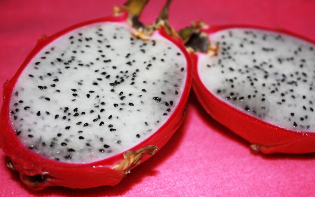 O cultivo da pitaya no Brasil começou na década de 1990, com concentração em São Paulo, mas atualmente se expandiu para outras regiões do país. 
