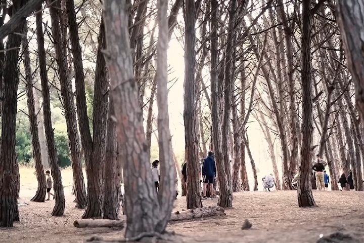 Essa área florestal, segundo a crença popular, tem uma energia especial e é frequentemente visitada por aqueles que buscam relaxamento e contato com a natureza.