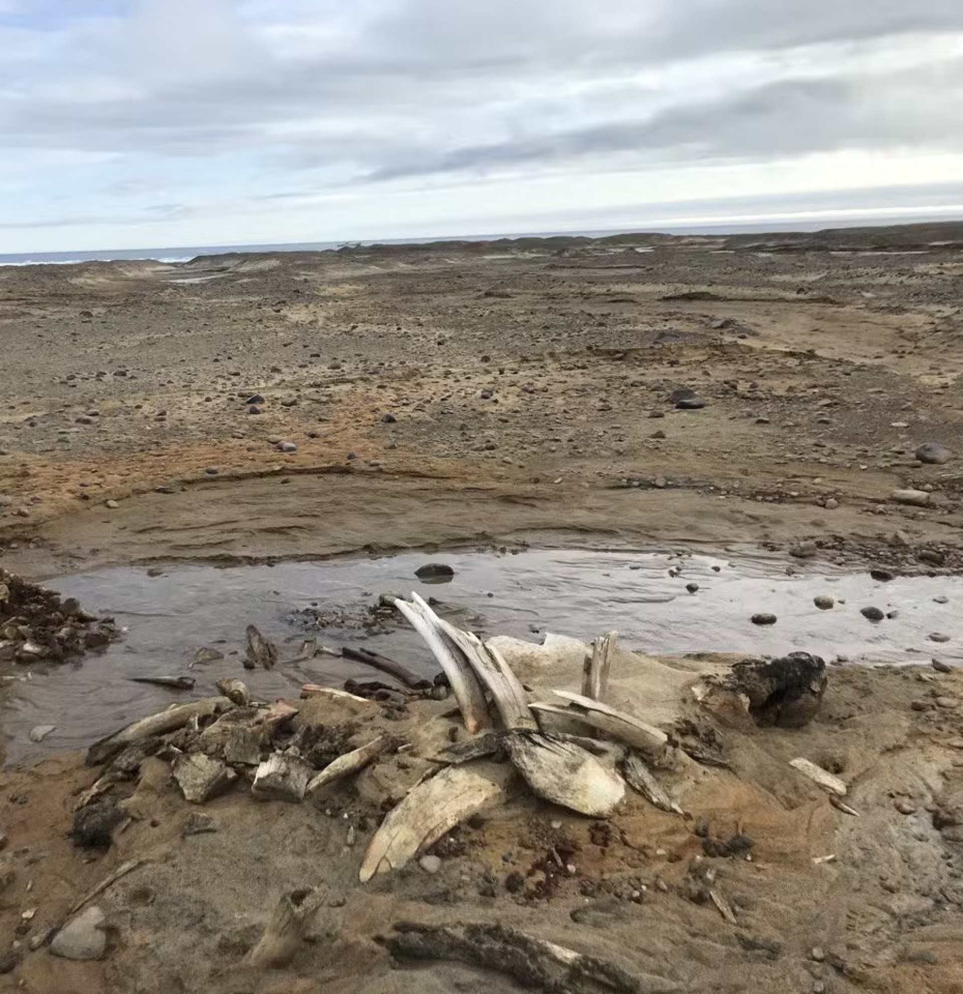 Paisagem da Ilha Wilczek