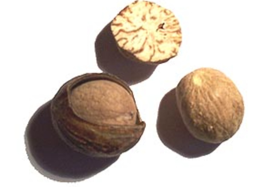 A noz-moscada carrega uma história rica, marcada por disputas coloniais, simbolismos culturais e tradições culinárias. Hoje, permanece um ingrediente valioso e multifacetado