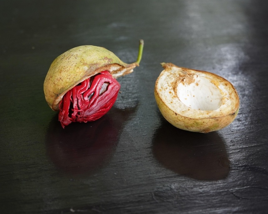 A secagem e o armazenamento adequados são essenciais para preservar o aroma.