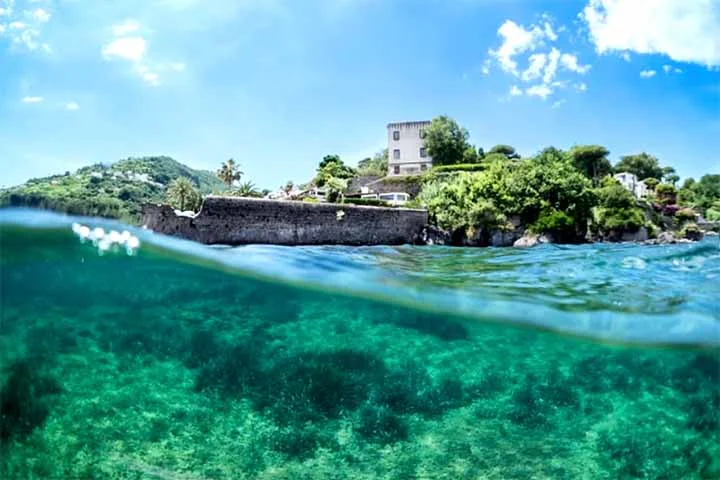 Antes da descoberta, os historiadores apenas conheciam que os romanos tomaram Pithecusae dos gregos e a rebatizaram, algo que foi documentado nos textos dos filósofos e escritores da capital italiana.