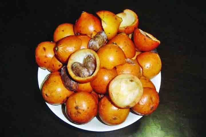 Além do consumo, a fruta tem potencial medicinal, sendo rica em vitamina C e potássio, com propriedades antioxidantes e cicatrizantes. 