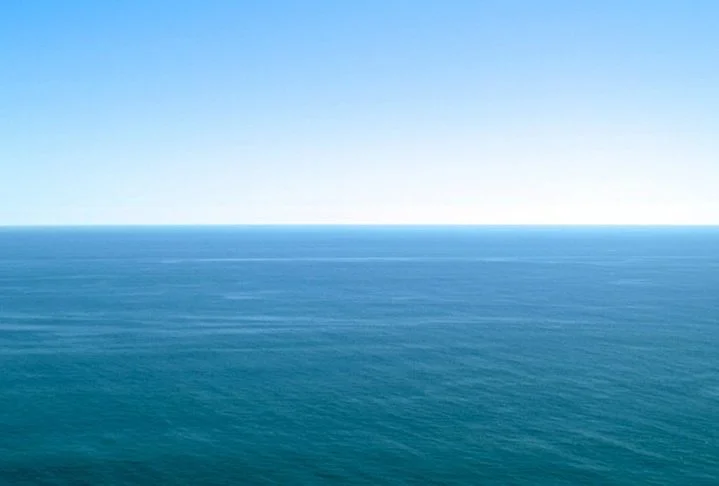 O mistério estava em torno de como as iguanas tinham conseguido cruzar o Oceano Pacífico, percorrendo quase 8 mil quilômetros desde a costa oeste da América do Norte.