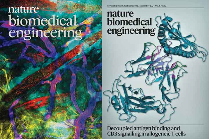 Estudo divulgado em 18/07/2025 na respeitada revista científica “Nature Biomedical Engineering” trouxe à luz novos elementos que reacendem a esperança de um futuro com terapias mais eficazes e amplas contra o câncer. 
