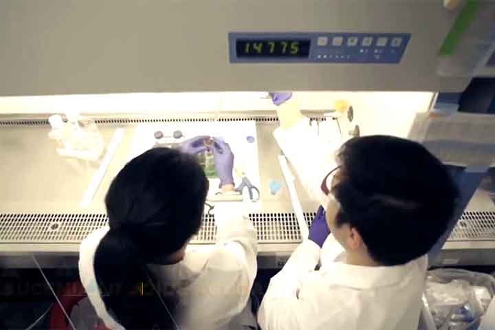 Essa combinação produziu respostas completas nos modelos animais: em muitos casos, os tumores foram erradicados.
