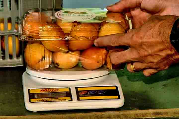 Além de vitamina C, o achachairu também é fonte de cálcio, fósforo e potássio, minerais importantes para a saúde óssea e muscular. 