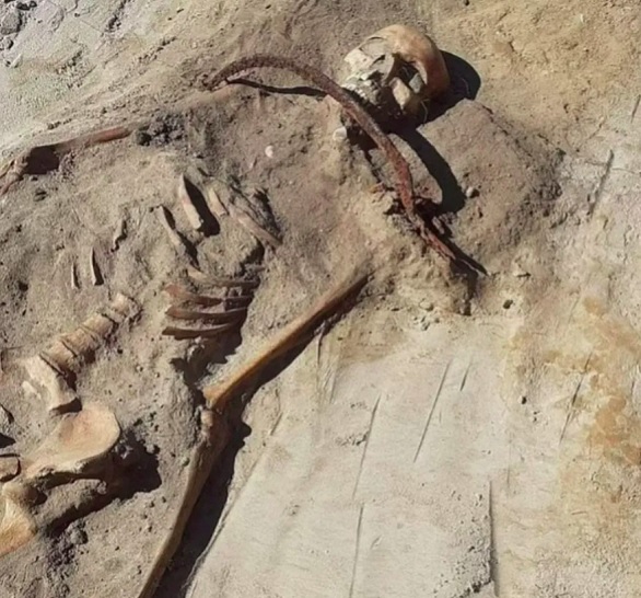 Pesquisadores da Polônia  fizeram a reconstrução facial de uma mulher enterrada há 400 anos, como se fosse uma vampira.  Seus restos mortais foram encontrados por arqueólogos num cemitério rural do século XVII, perto da vila de Pien, na Polônia.  