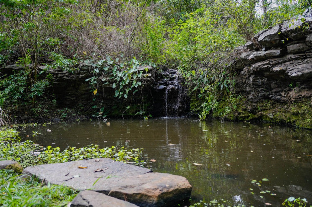 A imagem mostra uma pequena queda d’água cercada por vegetação densa e pedras cobertas de musgo. A água forma um poço calmo à frente, com plantas aquáticas e pedras no primeiro plano